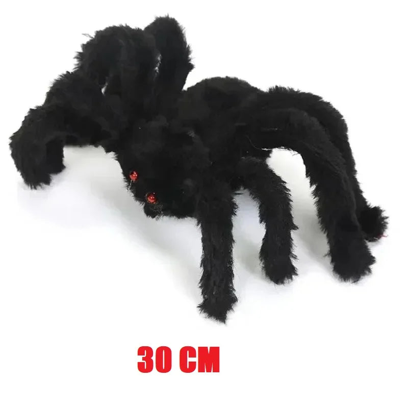 Pająk gigant