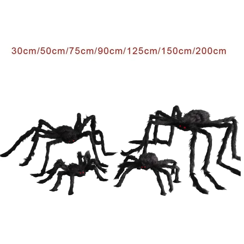 Pająk gigant